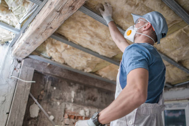 Best Geographic-Specific Insulation Services in California, PA
