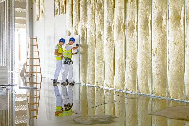 Best Residential Insulation in California, PA